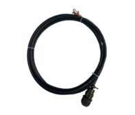 Power Input Cable, 10’ Long